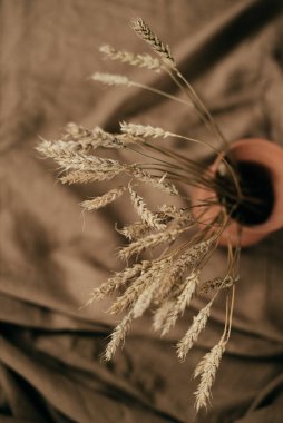 Bir demet mısırlı seramik kahverengi sürahi. Kırsal bir hayatın resmi.