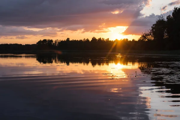 Gün batımı ışınlarıyla göl. Sonbahar manzarası.