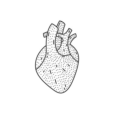 Beyaz şeffaf arkaplan üzerinde karalama biçimi izole edilmiş insan kalbi simgesi.