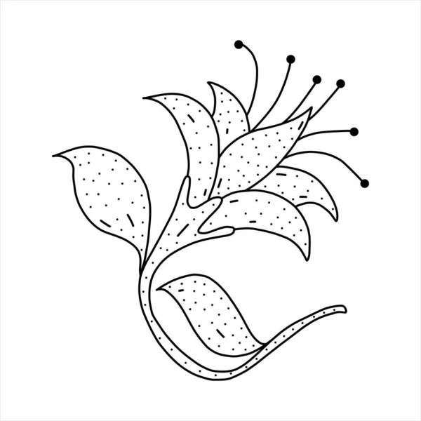 Handritad blomma ikon i klotter stil. Tecknad blomma vektor ikon för webbdesign isolerad på vit bakgrund. — Stock vektor