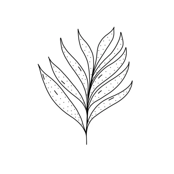 Ícone de planta desenhado à mão no estilo doodle. Ícone de vetor de planta de desenhos animados para web design isolado em fundo branco. — Vetor de Stock