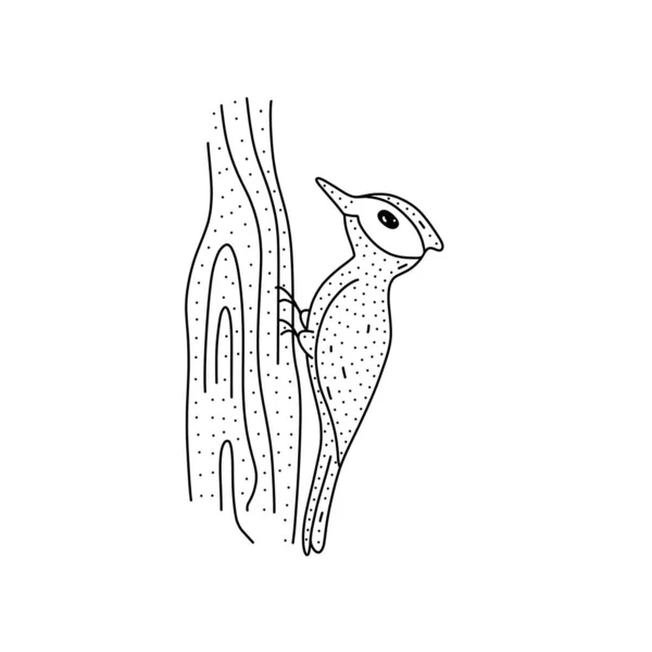 Pájaro carpintero dibujado a mano en el icono del tronco del árbol en estilo garabato. Icono de vector de pájaro carpintero de dibujos animados para el diseño web aislado sobre fondo blanco. — Vector de stock