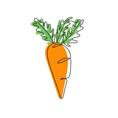 Hand drawn vector illustration of a carrot in single line style. Cute llustration of a vegetable on a white background.