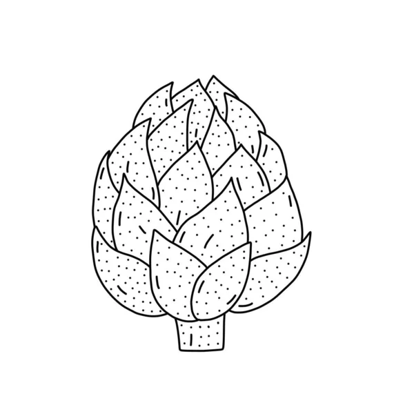 Hand drawn vector illustration of artichoke in doodle style. Cute llustration of a vegetable on a white background. — Stockový vektor