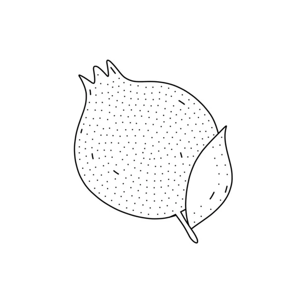 Ilustração vetorial desenhada à mão de uma romã em estilo doodle. Ilustração bonito de uma fruta em um fundo branco. — Vetor de Stock