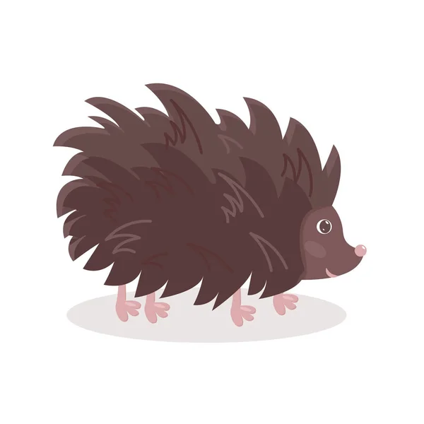 Engraçado hedgehog personagem isolado ilustração vetorial. Doce animal dos desenhos animados. — Vetor de Stock