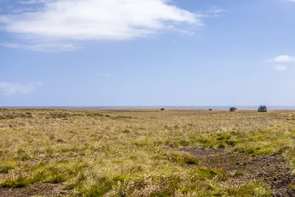 Safari 4 x 4 v Falklandské ostrovy-5 — Stock fotografie