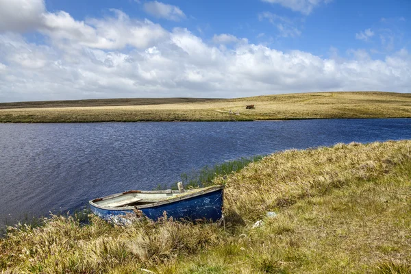 Norte estanque east falkland island-3 — Foto de Stock