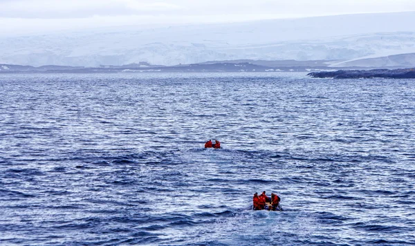 Team van wetenschappers van antarctica terug naar palmer station — Stockfoto