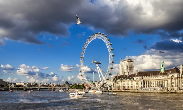 London Temze-folyó nagy kerék és egy sirály — Stock Fotó