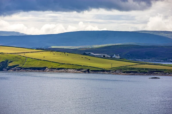 Shetland Landscape6 — Zdjęcie stockowe