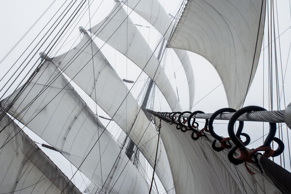 all sails raised - the favorable wind - sailing-ship