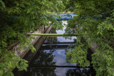Düzenlenmiş Nehri - sipariş edilen güzellik kavramı