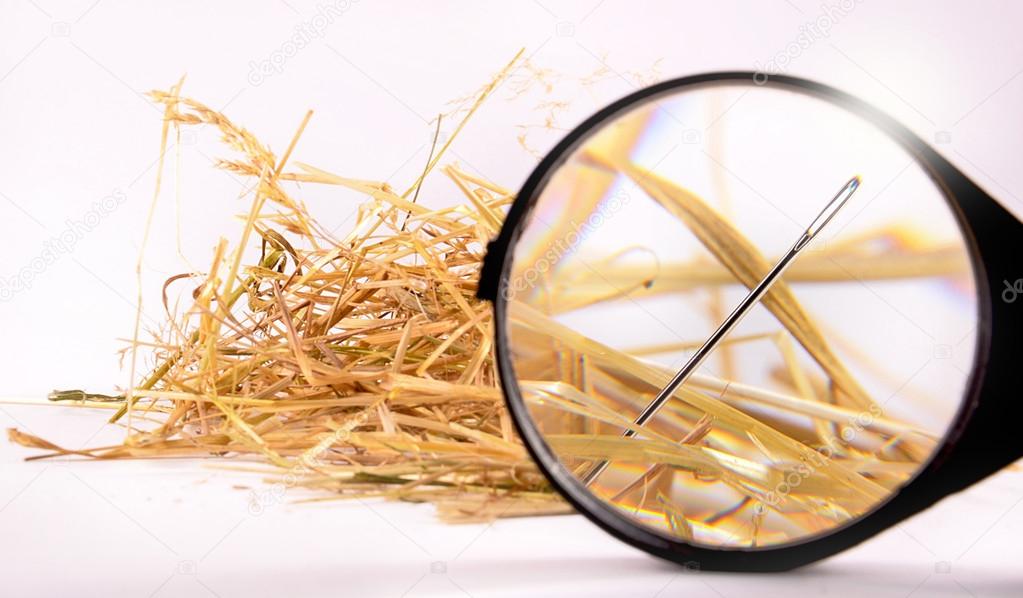 Needle in haystack