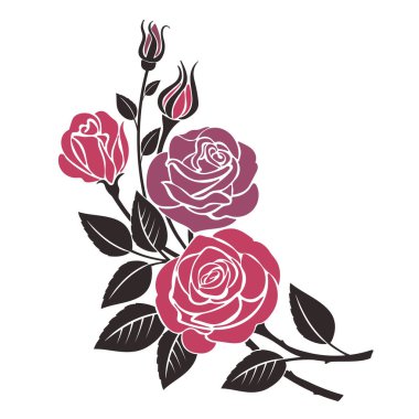 Beyaz arka planda izole gül çiçeklerinin vektör çizimi. Tasarım için çiçek süslemesi