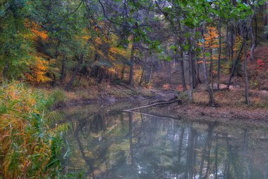 Gölün güzel manzarası