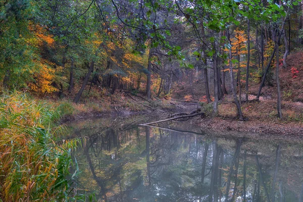 Gölün güzel manzarası