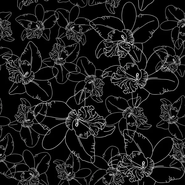Fleurs blanches d'orchidée — Image vectorielle
