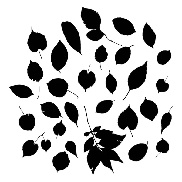 コレクション オーク メイプル リンゴ ツリー ローナン 自然スカンジナビア風の背景インクグランジの質感 シーズンの保育園の装飾の傾向は 白に隔離された黒いシルエット ベクターイラスト — ストックベクタ