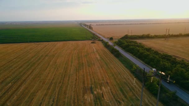 Duży ciągnik siodłowy niesie kombajn do zbioru zbóż na platformie drogowej między polami rolnymi i gruntami o zachodzie słońca — Wideo stockowe