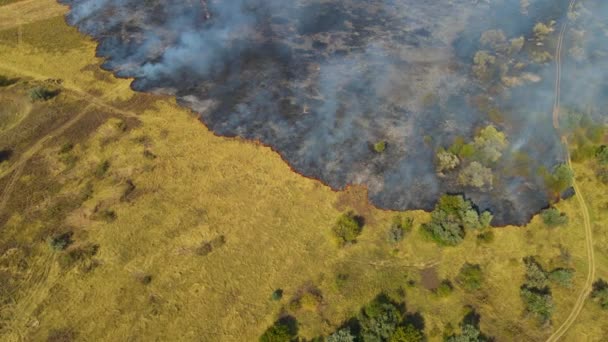Epische spectaculaire hoge luchtvlieg over het zicht van gras en bomen brand in het bos veroorzaakt door droogte en klimaatverandering — Stockvideo