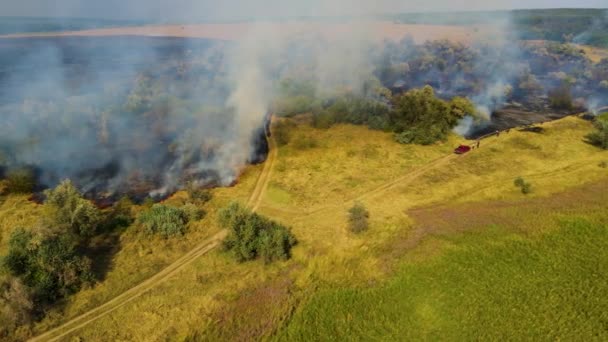 Luchtfoto van bossen ontbossing, bosbrand en roken in de buurt van riviertje met droog riet en gras — Stockvideo