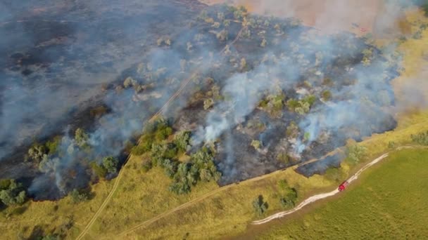 Επική εναέρια πλάνα του καπνίσματος άγρια φωτιά σε μεγάλη περιοχή. Δάσος και αγρός σε πυρκαγιά — Αρχείο Βίντεο