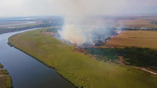 Vista superior do fogo entrou em erupção na floresta e grama seca com escalada fumaça branca — Vídeo de Stock