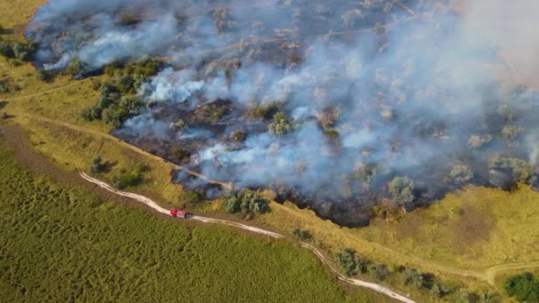 Epische luchtbeelden van het roken van wild vuur. Bos en veld in brand — Stockvideo