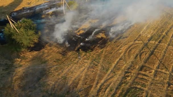 Bombero en overoles extingue gran llama ardiente en el campo de cultivos segados con rastrojo seco — Vídeo de stock