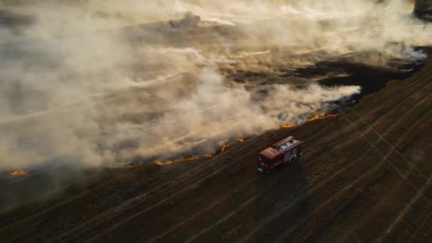 Кінематографічний постріл пожежної машини і пожежників на палаючому полі з сухою стерні і курінням полум'я ввечері — стокове відео
