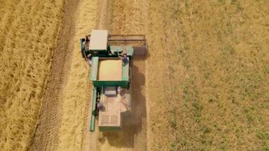 Zirai biçerdöveri birleştirerek buğday hasadını topluyor. Büyük kuru tarlada arpa hasadı.