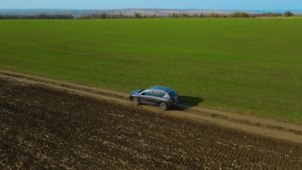 Luchtfoto van crossover SUV auto rijden langs lege onverharde weg door groene weiden landschap met agronomische velden op zonnige ochtend — Stockvideo