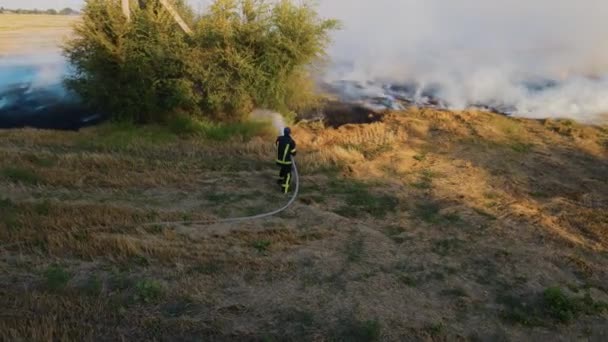 Пожарные борются с огнем вблизи на горящем сельскохозяйственном поле с сухой щетиной после сбора урожая — стоковое видео