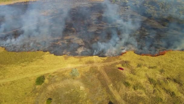 Epic aerial view of smoking wild fire. Large smoke clouds and conflagration spread. Forest and woods deforestation. Dry grass burning in field, ecology concept — Stock Video