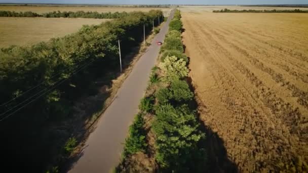 Letecký pohled muž se dotkne kola auta, které se porouchalo uprostřed silnice s nohou během cesty — Stock video