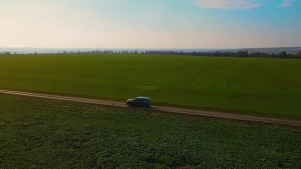 Hombre agricultor conduciendo su coche por camino de tierra entre campos agronómicos con cultivos en crecimiento — Vídeos de Stock