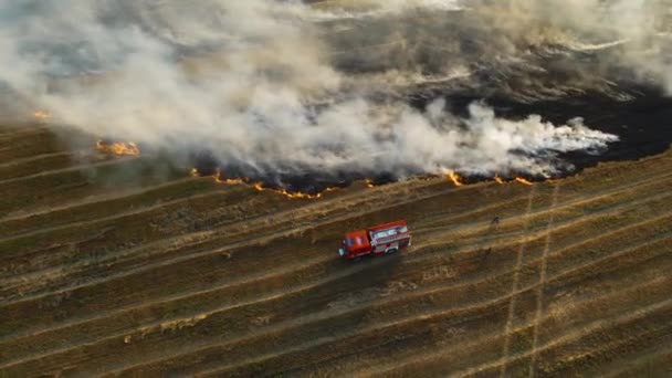 Кінематографічний постріл пожежної машини і пожежників на палаючому полі з сухою стерні і курильним полум'ям — стокове відео