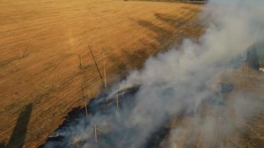 Duman ile büyük yangın manzarası. Tarım alanlarını yakmak. İklim değişikliğinden kaynaklanan doğal afet