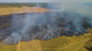 Top view on field with line of fire. Epic video shooting, smoke clouds, spread of conflagration. Deforestation, burning of dry grass. Climate change and ecology