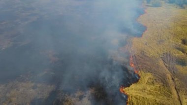 Top view and flying over field with line of fire. Epic video shooting, smoke clouds, spread of conflagration. Deforestation, burning of dry grass. Climate change and ecology