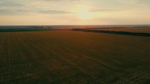 Beautiful sunset over rows of straw and stubble on mown fields of grain crops with traces of powerful harvester combines — стоковое видео
