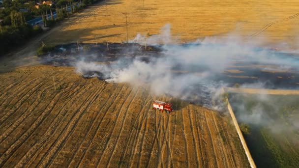 Cinematic footage fire truck in clouds of smoke at hearth of dry stubble flame and firefighters extinguish huge burning of field with water from hoses — Vídeo de Stock