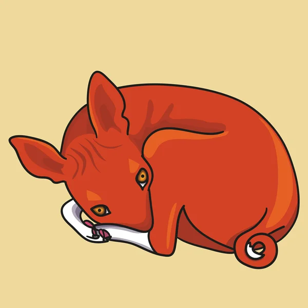 Ilustrasi anjing basenji - Stok Vektor