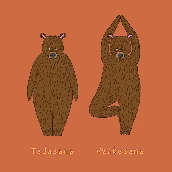 Illustration of two yoga bears — Stock Vector