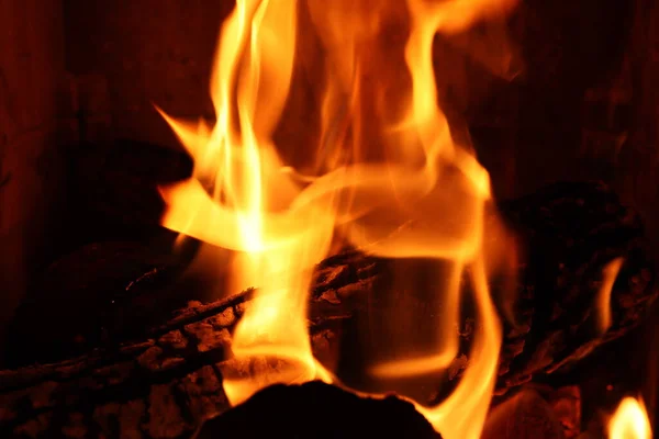 木の上の火のイメージ — ストック写真