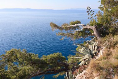  Mavi denizin havadan görünüşü