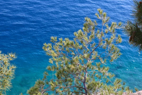 Luftaufnahme Des Blauen Meeres — Stockfoto