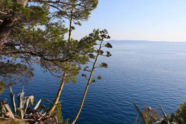 青い海の空の景色 — ストック写真