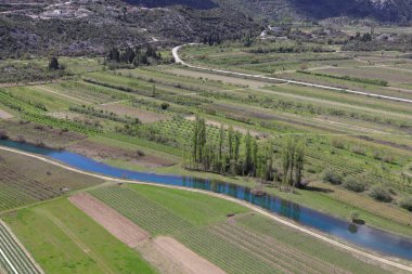 İlkbaharda nehrin kıyısındaki üzüm bağları